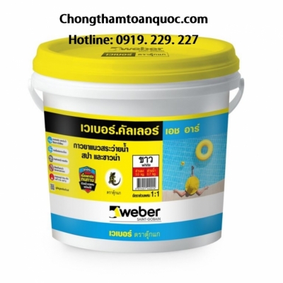 Keo chà ron Webercolor HR - 2 thành phần gốc xi măng