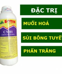 SOTIN CM01 - Chất chống muối hóa
