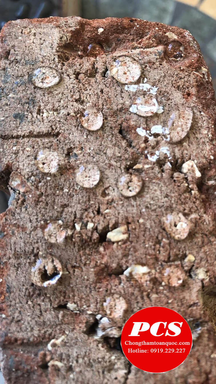 Chống thấm Neomax hiệu quả Chống thấm Neomax hiệu quả