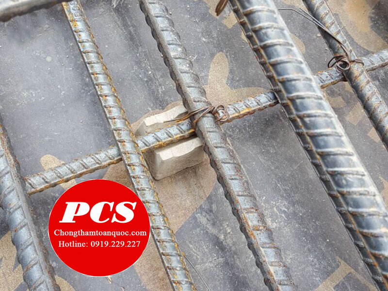 Đặc điểm của cục kê