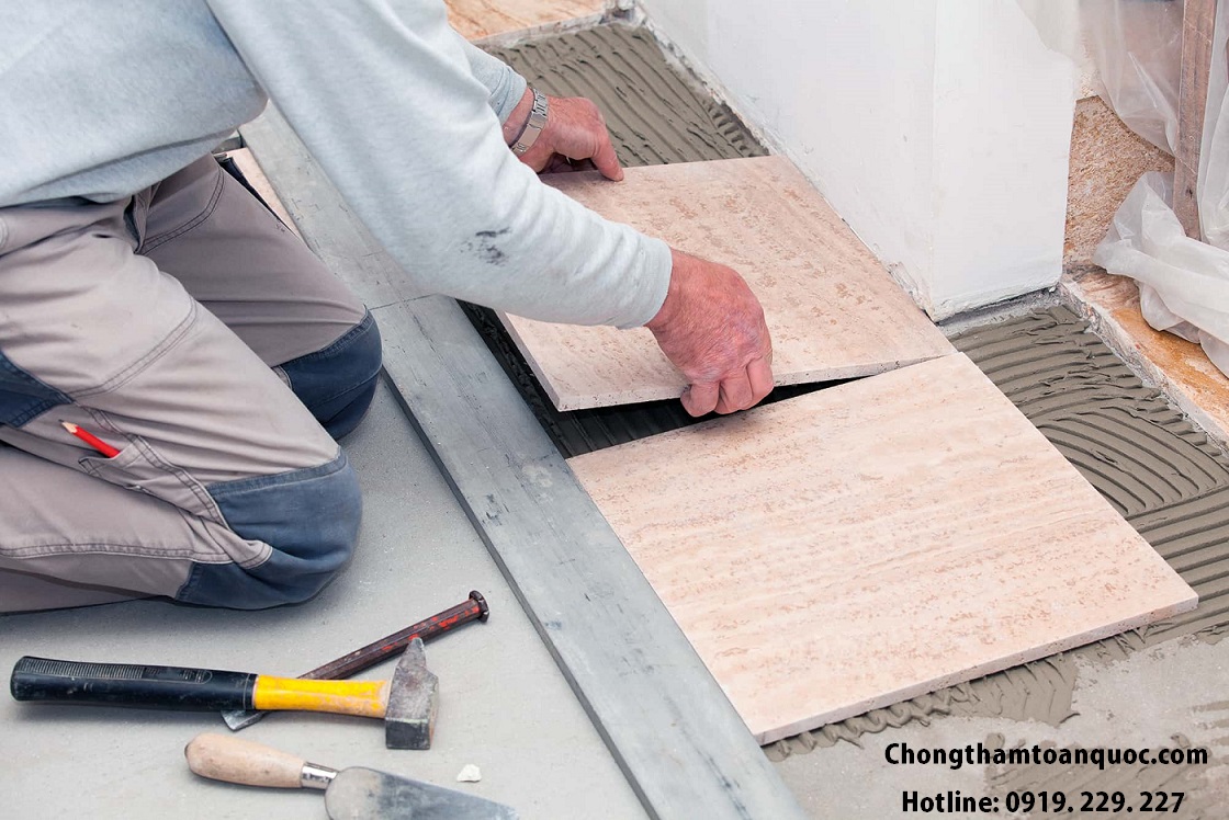 Green Crocodile Green Crocodile