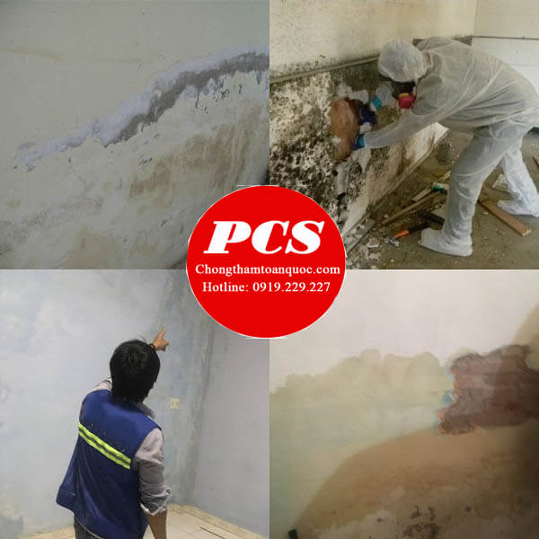 Hạng mục sử dụng