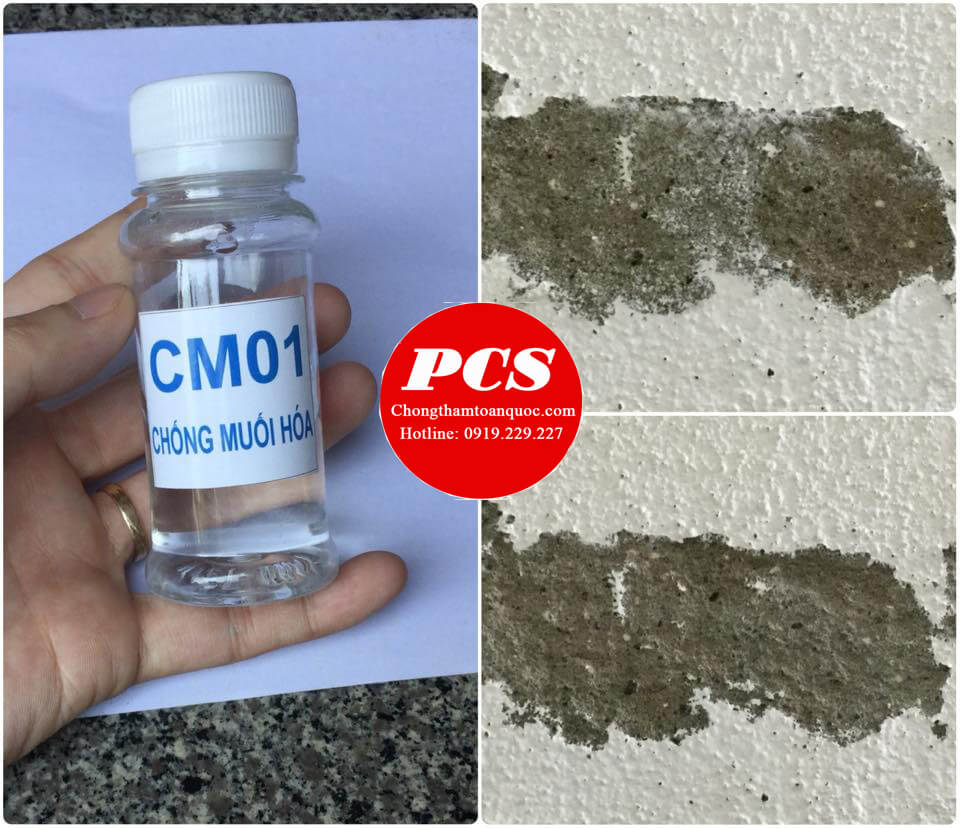 Hiệu quả của CM01 Hiệu quả của CM01