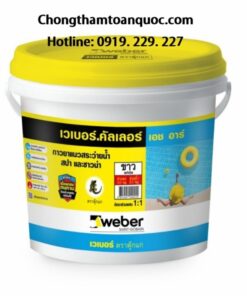 Keo chà ron Webercolor HR - 2 thành phần gốc xi măng