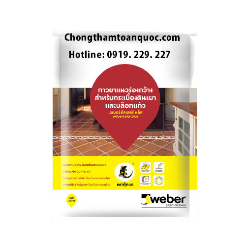 Keo chà ron Webercolor Plus - Dùng cho đường ron lớn 5-20mm