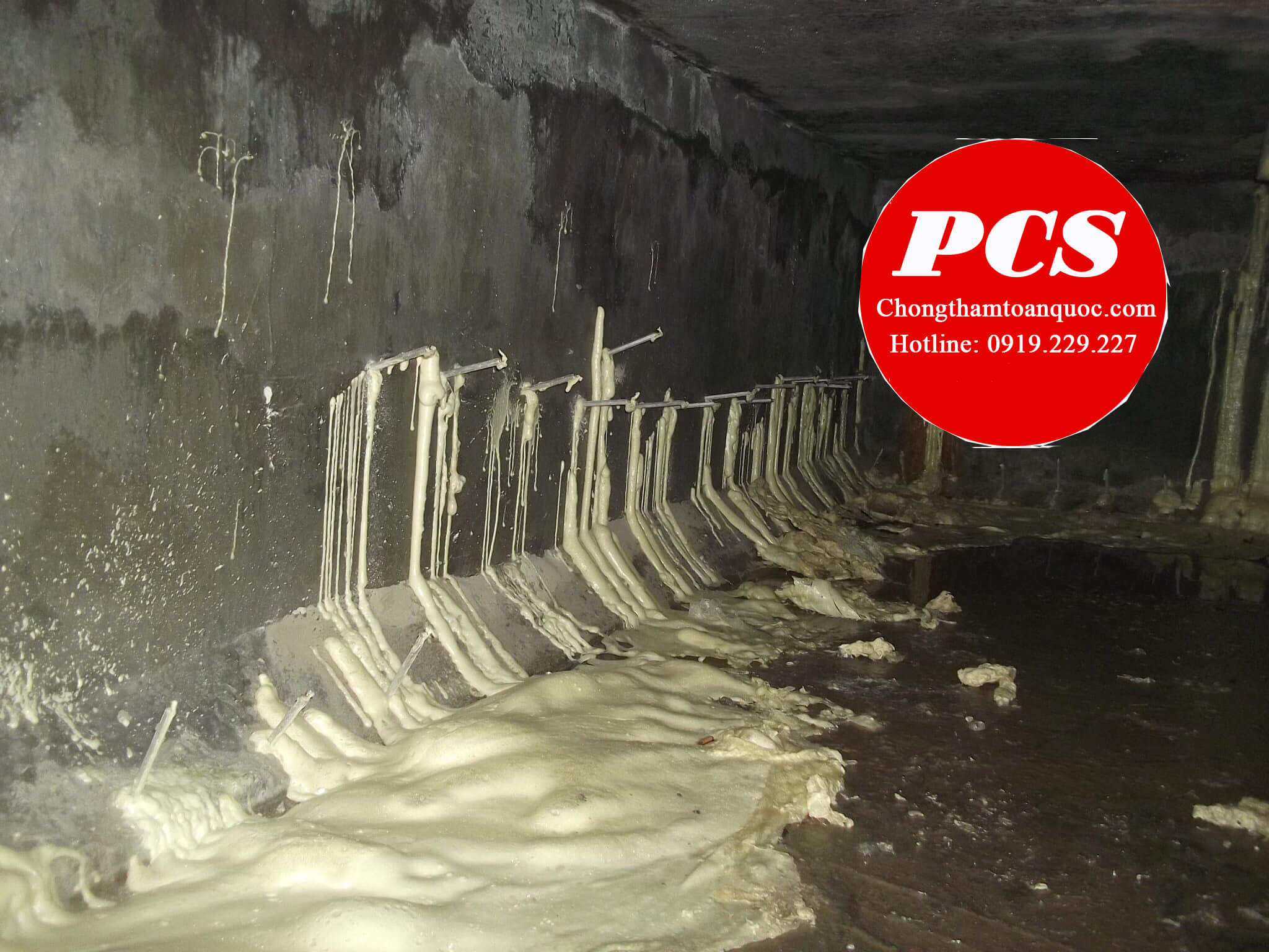 Keo Pu trương nở