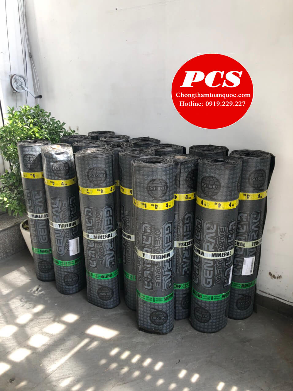 Mua màng Sagitta ở đâu chính hãng