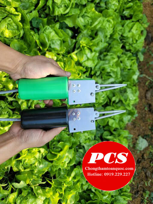 Nhổ măng vịt Nhổ măng vịt