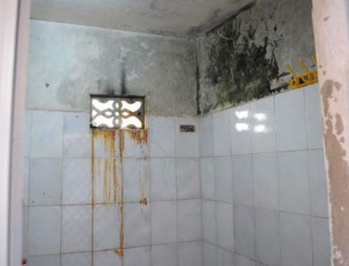 Sika chống thấm bể nước giá rẻ hiệu quả nhất Hậu quả của việc không sử dụng sika chống thấm bể nước