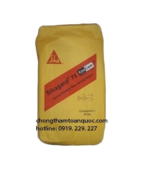 Sikagard 75 Epocem - Trám vá xi măng gốc Epoxy