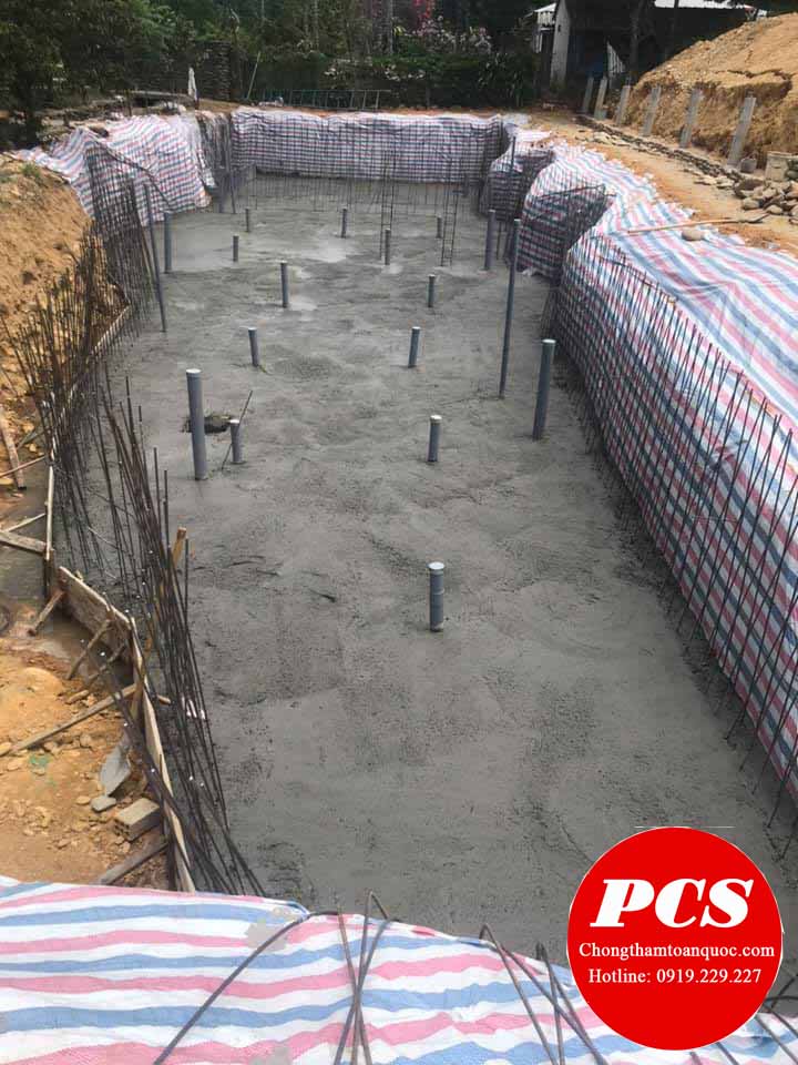 Sơn chống thấm cho hồ cá xi măng