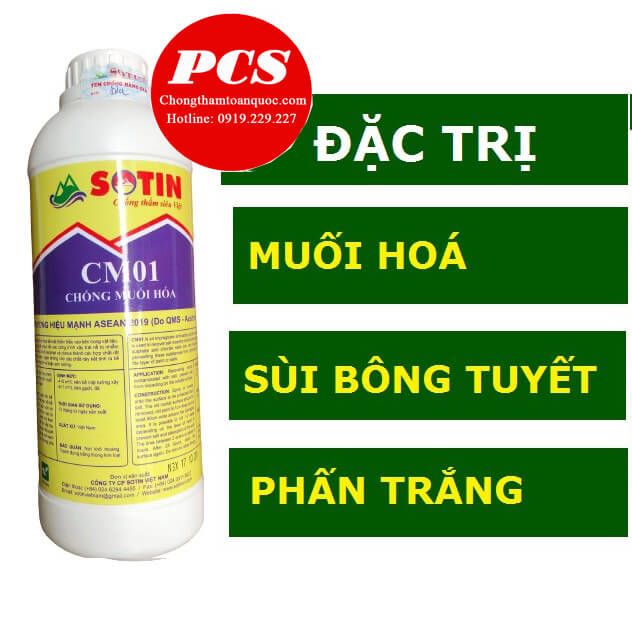 Sotin CM01 Sotin CM01