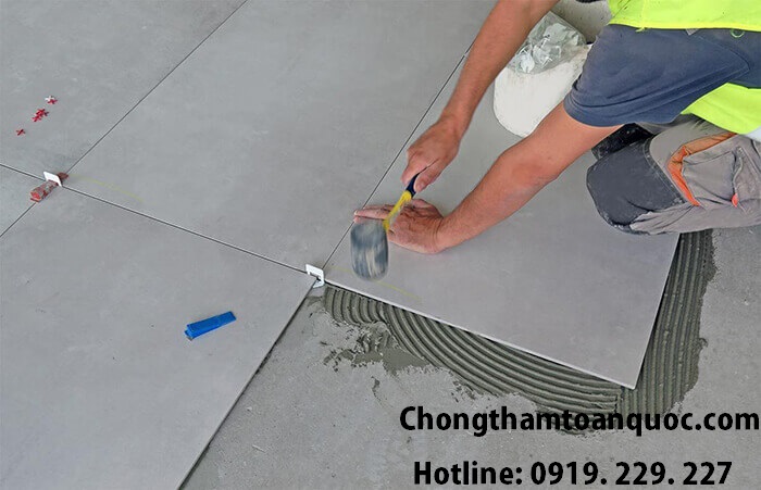 Thi công Sliver Crocodile