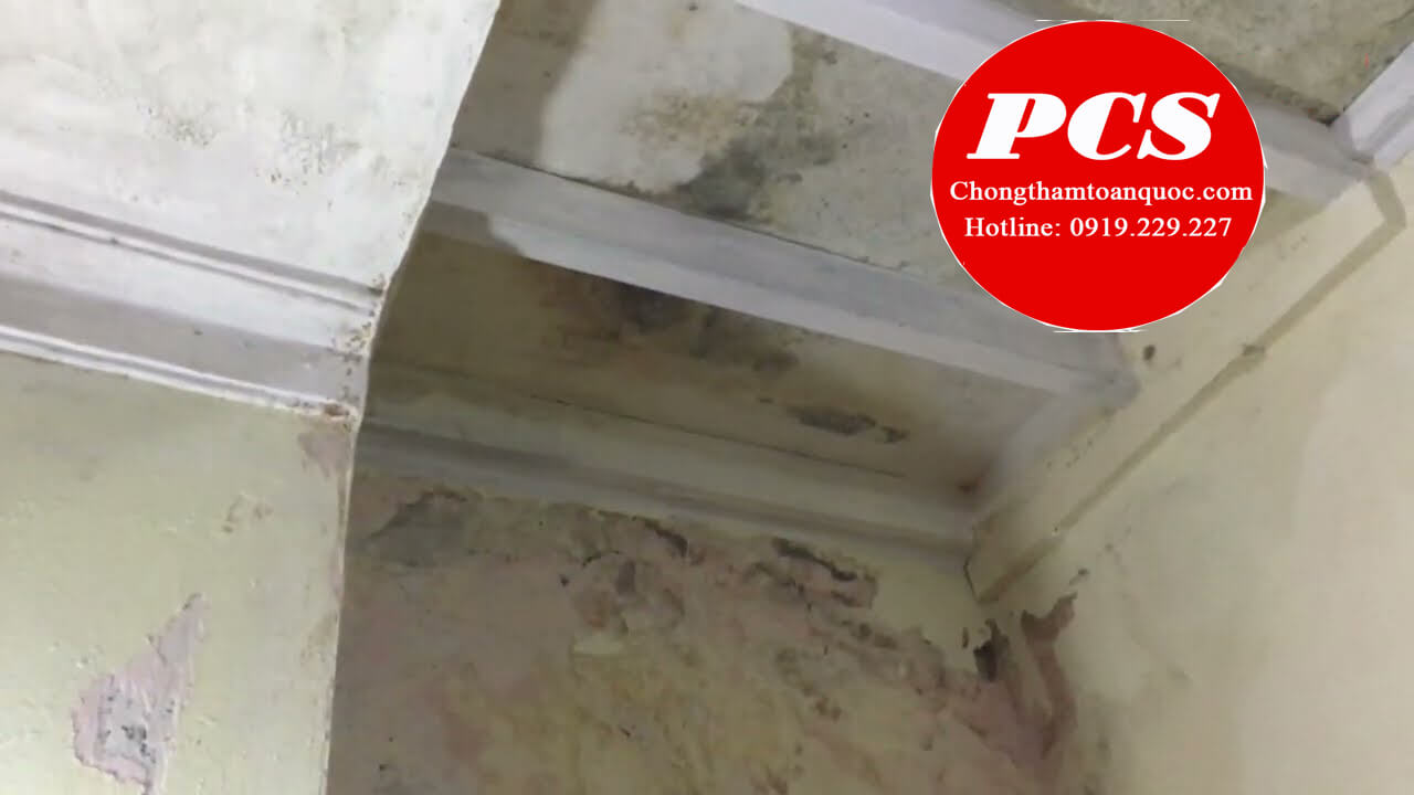 Ứng dụng điển hình Ứng dụng điển hình