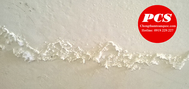 Xử lí tường bị muối Xử lí tường bị muối